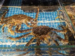 -韩记海鲜饺子旗舰店(红海新区店)