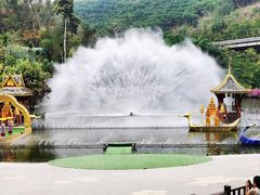 -西双版纳原始森林公园