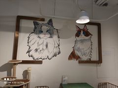 用餐区-喵喵咪呀布偶猫咖(春熙路店)