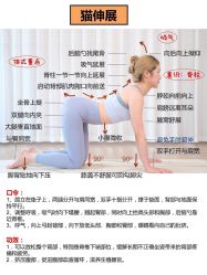 -亚太瑜伽普拉提学院