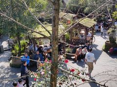 -青城甲(青城山店)