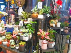 -丽达超市(城阳万象汇店)