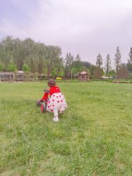-优沃得自然教育农场·冰雪乐园·生日会·研学