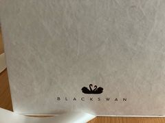 -BLACKSWAN黑天鹅(环球店)