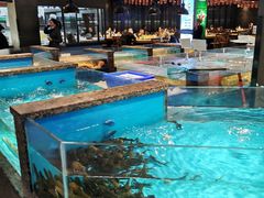 -拉完海鲜大排档(温岭店)