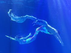 -华夏文旅海洋公园