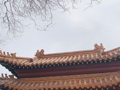 -桃花堤公园