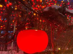 -长春市南湖公园