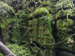 -梭布垭石林景区