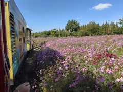 -歌斐颂巧克力小镇