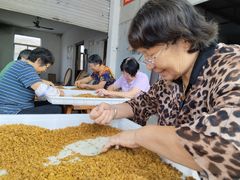 -苏州市吴中区光福窑上花果蜜饯厂