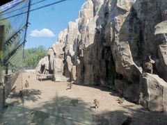 -大青山野生动物园