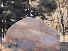 -大兴滨河森林公园