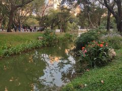 -人民公园(罗湖区)