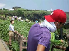 -柱状节理带