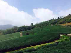 iphone_upload_pic-优游吧斯邹族文化部落