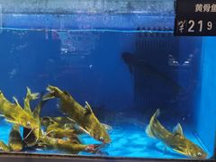 -嘉荣超市(望牛墩店)