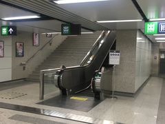 -闸弄口(地铁站)