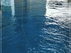 -SHRIMP CLUB万东餐饮钓虾·清吧