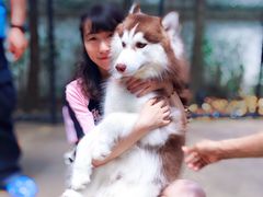 -TrueLove @ Neverland (Husky Cafe)
