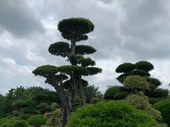 -南宁南湖公园