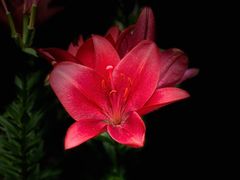 -长春公园(普阳街道)