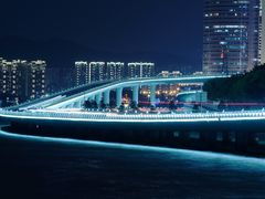 -演武大桥观景平台