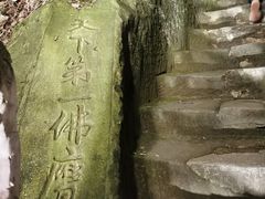 -大金鹰园