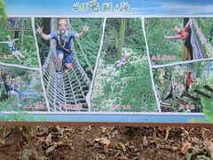 -西双版纳原始森林公园