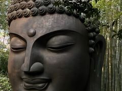 -杭州植物园