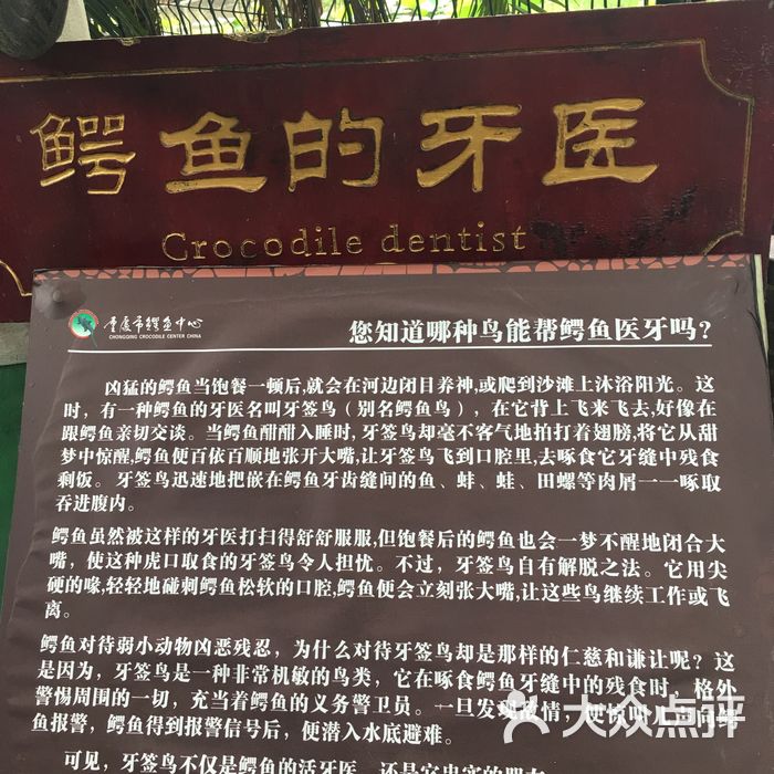 重庆市鳄鱼中心