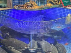 -味钱塘·钱塘浙宴(宋城之江银泰店)