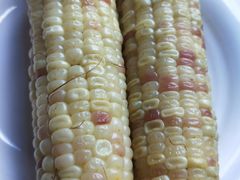 -大鹅岛绿色生态美食园