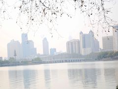 -武汉大学-樱园
