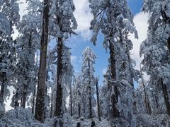 -瓦屋山景区