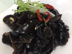 -一麦·龙岛(上海青浦店)