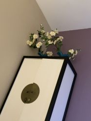 -香秀空间科技抗衰·美容中心