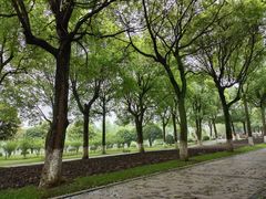 -上海鲜花港