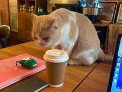 -UN CAFFE(五角场店)