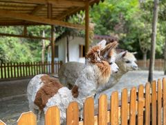 -龙湾潭国家森林公园