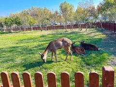 -上海交通大学(闵行校区)