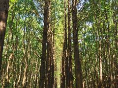 -同里国家湿地公园