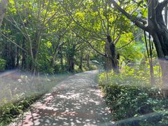 -深圳国际园林花卉博览园