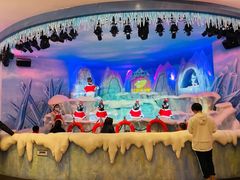 -帝企鹅自助餐厅•儿童岛•真企鹅(长隆企鹅酒店)