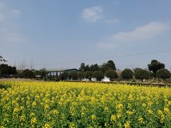 -洪湖家庭农场·团建·露营·会议