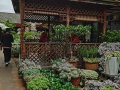 -山菌美食苑(振兴路店)