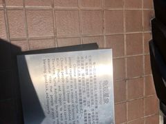 -广东惠东海龟国家级自然保护区