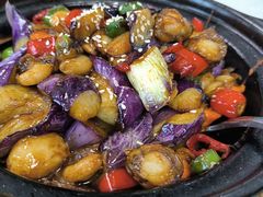 -普天和酒楼·新津菜·烤鸭(天津之眼店)