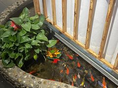 -醉霖生态餐厅(交大店)