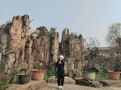 -秀丽东方